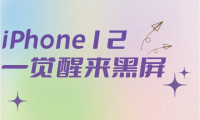 手机为什么开不开机(手机为什么开不了机充电也没反应)