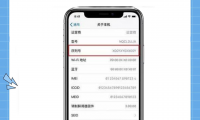 手机序列号有什么作用(苹果手机序列号只有10位正常吗)