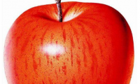 apple是什么意思(苹果apple是干嘛用的)
