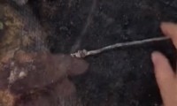 手机充电漏电是什么原因(手机充电的时候漏电怎么办会有危险吗)