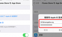 苹果id密码是什么(苹果id密码是什么格式组成的)