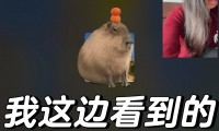 微信视频是什么格式(微信视频是什么格式的视频)