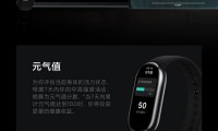 什么是支付宝手环(什么是支付宝小荷包)