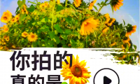 相机hdr是什么意思(相机中的hdr是什么意思)