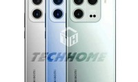 小米有什么型号(小米有什么功效和作用)