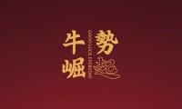什么牛手机(什么牛充什么成语)