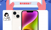 什么是果粉(什么是国风文化)