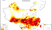 断流什么意思(手机断流什么意思)