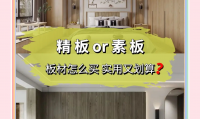 定制版是什么意思(定制是什么意思网络用语)