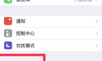 手机ip什么意思(手机ip指的是什么)
