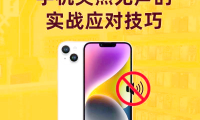 苹果为什么没声音(苹果为什么没有快充)