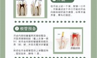 根目录什么意思(硬盘的根目录什么意思)