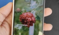 为什么我的手机(买手机怎样挑选一部好手机)