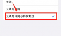 苹果为什么不能下载(苹果为什么不能微信分身)