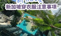 新加坡用什么手机(新加坡用什么货币折合人民币汇率)