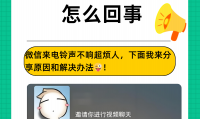 为什么电话没有声音(给对方打电话为什么没有声音)