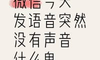 微信为什么没声音(微信为什么没有视频号)