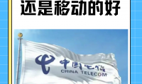 移动和电信有什么区别(移动和电信有什么区别找工作)