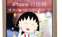 iphone已停用什么意思(iphone已停用怎么解开手机)